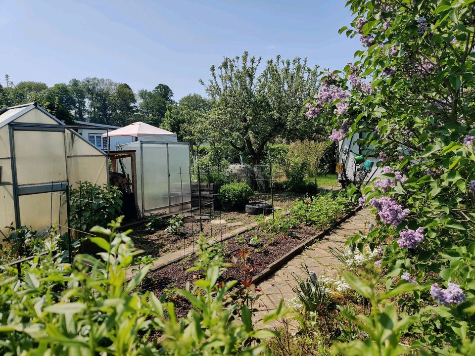 Gartenparzelle im Süden von Pirna in Pirna