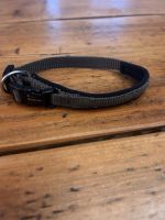 Hundehalsband Olive Wolters XS 20-25 Niedersachsen - Twistringen Vorschau