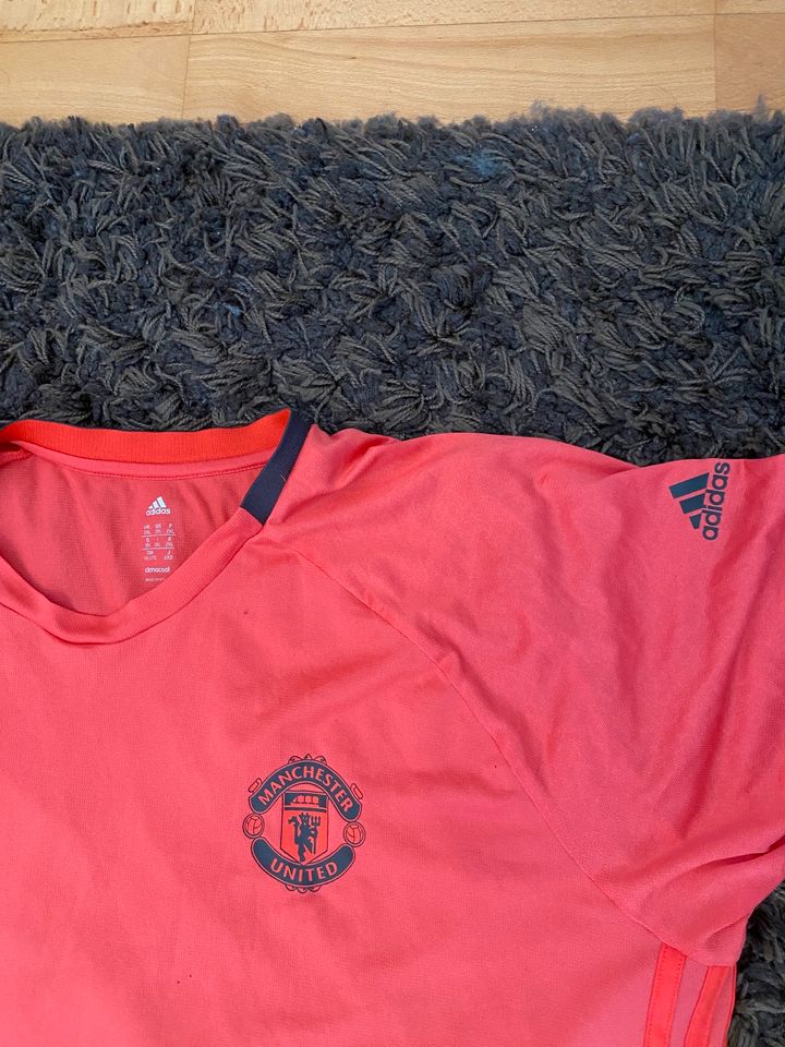 Adidas Manchester United T-Shirt in Renchen
