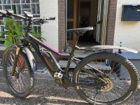 E-Bike Radon Rheinland-Pfalz - Mudersbach Vorschau