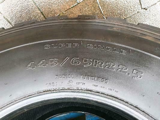 ✅ 445/65R22.5_18R22.5_168J_Goodyear_G178_Top Zustand_Unimog_LKW in Beselich