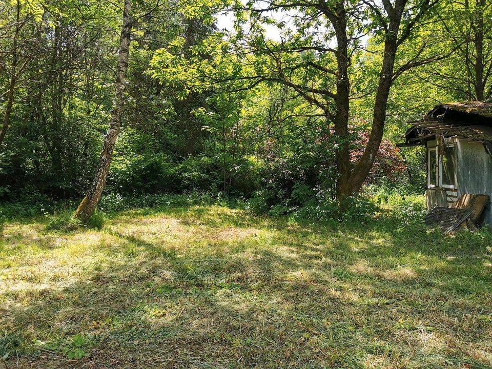 Garten in Suhl Heidersbach Goldlauter in Suhl