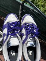 Nike Dunk Lila/Weiß Gr. 47.5 Hessen - Lahnau Vorschau