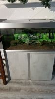 EHEIM Aquarium 250l Niedersachsen - Wennigsen Vorschau