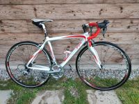 Pinarello Rennrad Bayern - Samerberg Vorschau