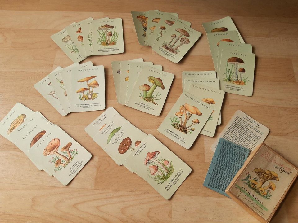 Pilzberatung, altes Kartenspiel aus den 50' ern in Dresden