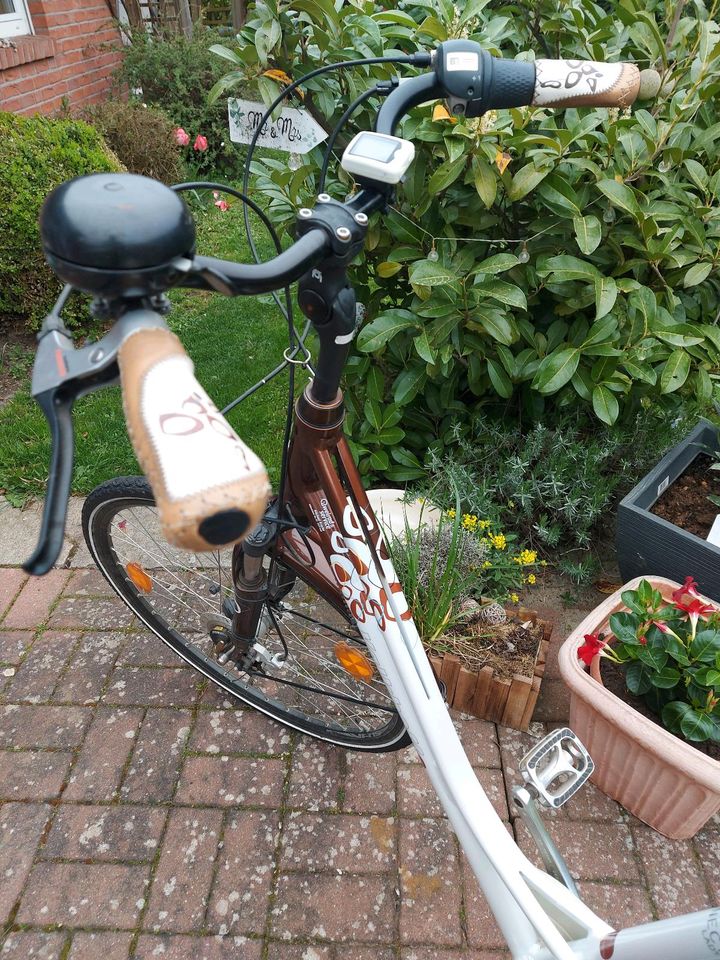 Damenfahrrad Kalkhoff in Hohenhameln