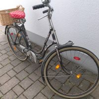 Antikes Hercules Fahrrad, gerade Bares für Rares 350Euro Bayern - Markt Schwaben Vorschau