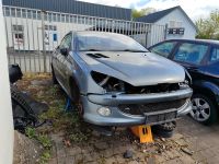 Ersatzteile Peugeot 206cc EZW Farbcode Teile  206 Hessen - Leun Vorschau