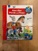 Wieso weshalb warum Alles über Pferde und  Ponys Lübeck - St. Lorenz Nord Vorschau