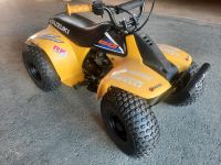 Suzuki   50   kinderquad Sachsen - Schwarzenberg (Erzgebirge) Vorschau