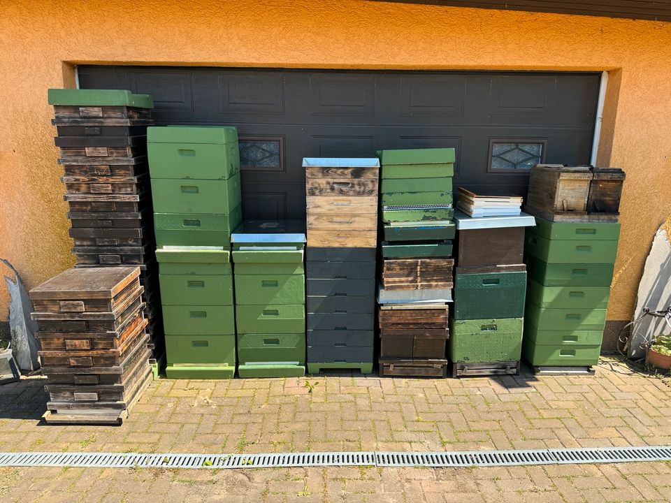 Segeberger Futterzargen aus Holz oder Kunststoff gebraucht in Stralsund