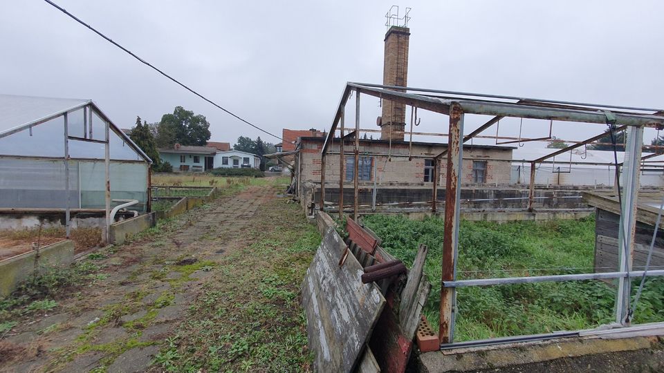 Schnäppchenobjekt! Gewerbegrundstück mit ehemaliger Gärtnerei in Rehsen zu verkaufen! in Oranienbaum-Wörlitz