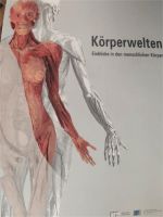 Katalog Körperwelten Anatomie Modell Bild Blutgefäße Nerven Hessen - Bad Orb Vorschau