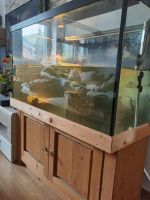 Tolles 300l Aquarium mit Unterschrank und viel Zubehör Nordrhein-Westfalen - Stolberg (Rhld) Vorschau