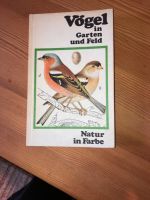 Vögel in Garten Bayern - Laufach Vorschau