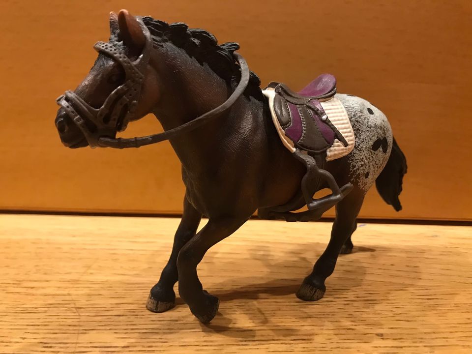 Schleich Appaloosa Hengst mit Sattel u Decke in Köln