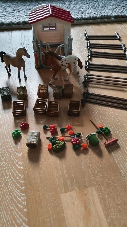 Schleich Horse Club Box + 1 Pferd in Kuddewörde