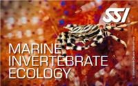 SSI Marine Invertebrates Ecology specialty online wirbellose Tier Gerbstedt - Welfesholz Vorschau