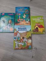 Bücher,  Leseloewen, Bauernhof,  Set Niedersachsen - Schüttorf Vorschau