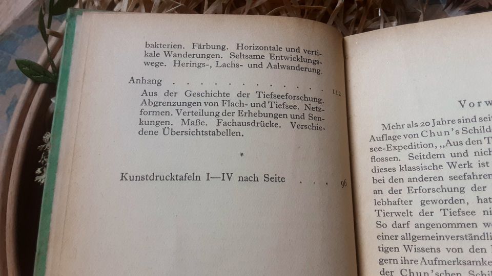 Antiquarisch 1925 "Die Tiefsee und ihre Bewohner" Ullstein Verl. in Frankfurt am Main