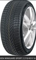 Nexen Winguard Sport 2 215/45/R16 XL Winterreifen NEU Herzogtum Lauenburg - Geesthacht Vorschau