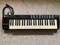 Midi Keyboard MT-49 Nordrhein-Westfalen - Oerlinghausen Vorschau