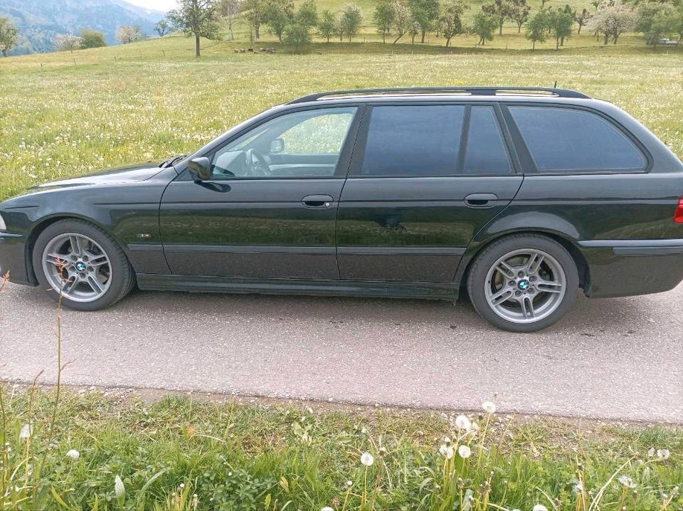 BMW 530i e39 Touring M-Paket in Glottertal