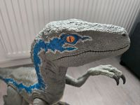 ☆neuwertiger Jurassic World Veloceraptor Blue 1m lang ☆ Nordrhein-Westfalen - Harsewinkel - Marienfeld Vorschau