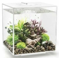 Oase biOrb CUBE 30 LED weiß Aquarium EEK: G ,Spektrum A-G Nordrhein-Westfalen - Dorsten Vorschau