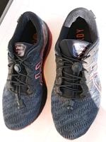 Asics Gt2000 Goretex Frankfurt am Main - Bonames Vorschau