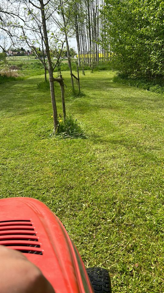 Rasenmähen, Rasenpflege in Velden