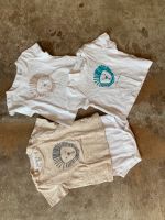 Bellybutton Body + T-Shirts Gr 56/62 Neu Hessen - Kassel Vorschau