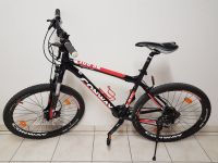 MTB Conway MS 901 Bad Reichenhall - Nonn Vorschau