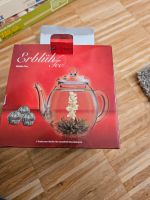 Teekanne Glas mit Blüten NEU München - Sendling Vorschau