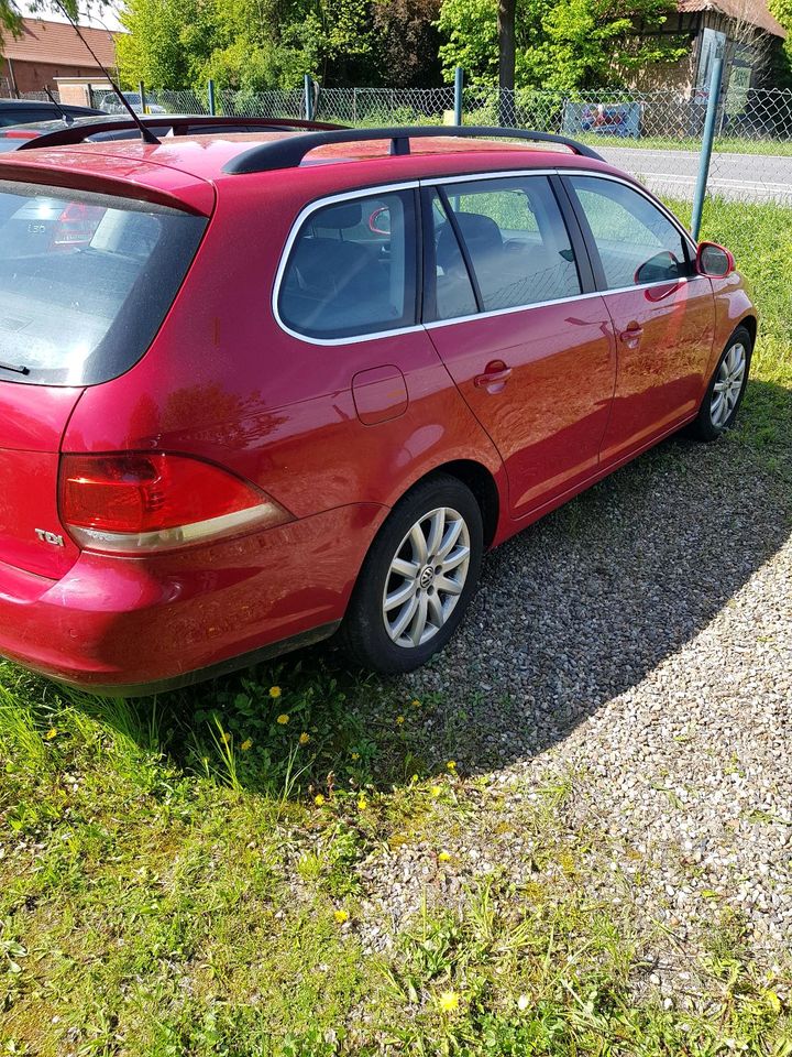 VW Golf 5 1,9 tdi Kombi. in Gifhorn