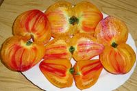 Tomatensamen SET E - schönste Bicolor Tomatensamen Bayern - Kleinheubach Vorschau