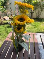 Sonnenblume, künstlich Bayern - Gochsheim Vorschau