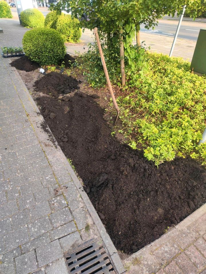 Wir machen euren Garten fit ! Einmal Grundreinigung bitte ! in Friesoythe