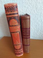 antiquarische Bücher: Schiller's Gedichte, Goethe's Gedichte 1888 Baden-Württemberg - Spaichingen Vorschau