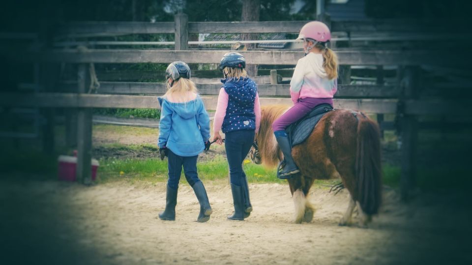 Reitunterricht, Reitschule für Schulkinder ab 6 in Essen