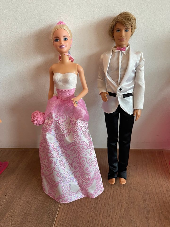 Barbie 9 Puppen Kiste Hocker Disney Princess +Pferd Delfin Hund in Saarbrücken