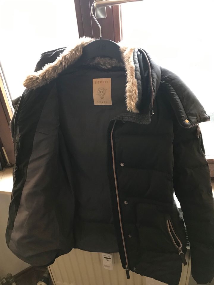 Esprit Daunenjacke, wie neu, 36 in Mannheim