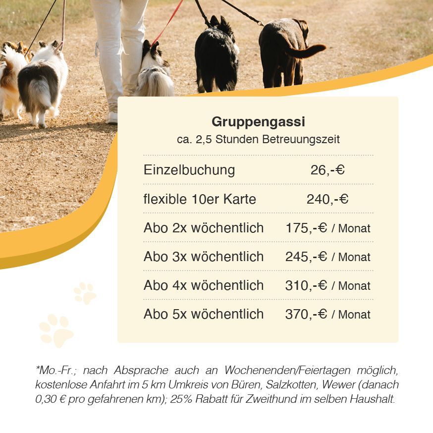 Gassiservice Dogwalking Hundebetreuung Hundesitter in Paderborn