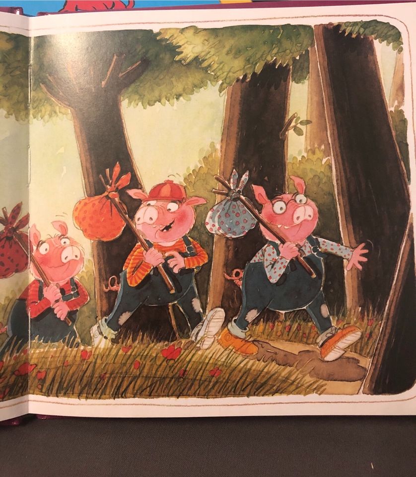 Kinderbuch Die drei kleinen Schweinchen in Mainz