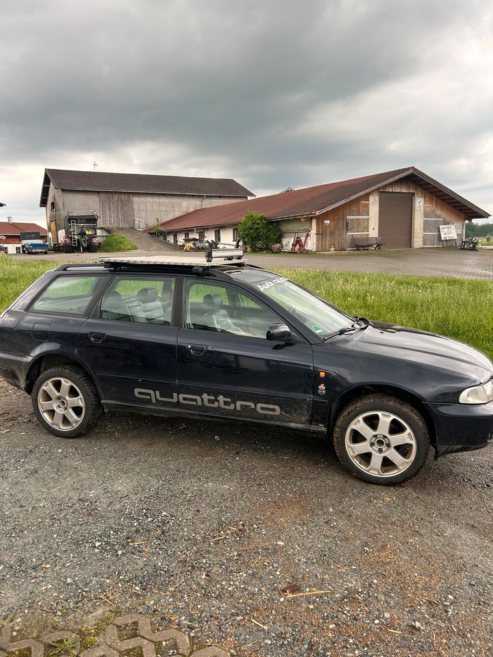 Audi A4 b5 quattro in Petting