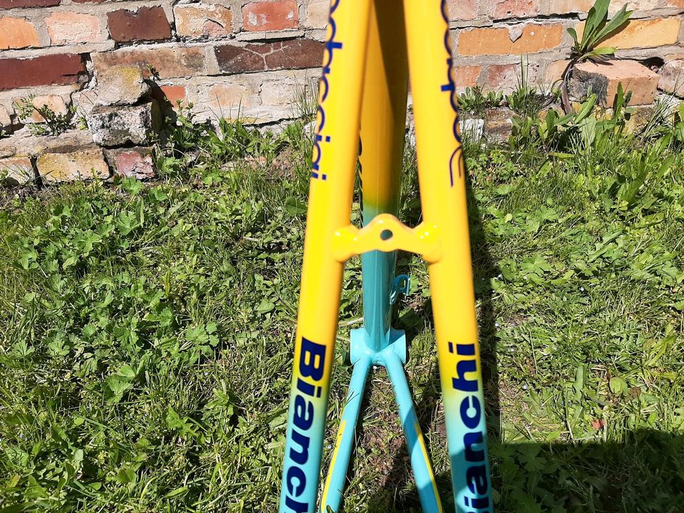 Bianchi Mega Pro Rahmen Gr. XL/59 1Zoll Pantani in Wettin-Löbejün