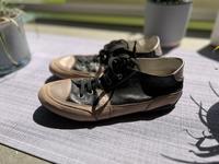 Geox Damenschuhe in 38 Nordrhein-Westfalen - Sprockhövel Vorschau