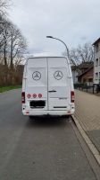 Mercedes Benz Sprinter 313 Bochum - Bochum-Mitte Vorschau