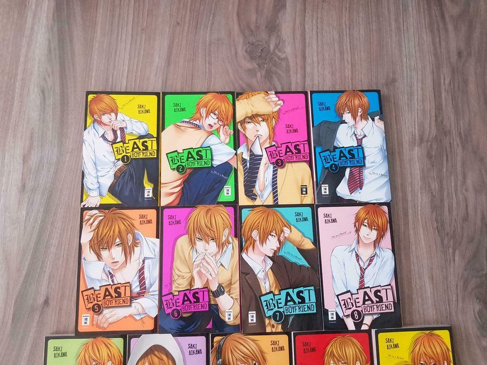 Beast Boyfriend Manga Band 1 - 13 komplett in Hof (Saale)